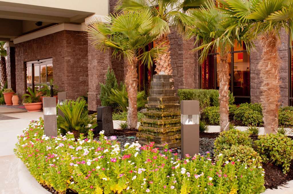 Hampton Inn & Suites Shreveport Exteriér fotografie